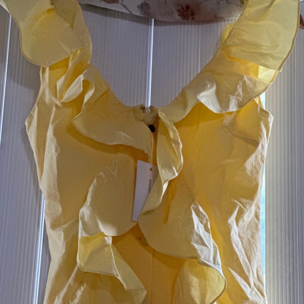 Lovers & Friends ruffles mini dress